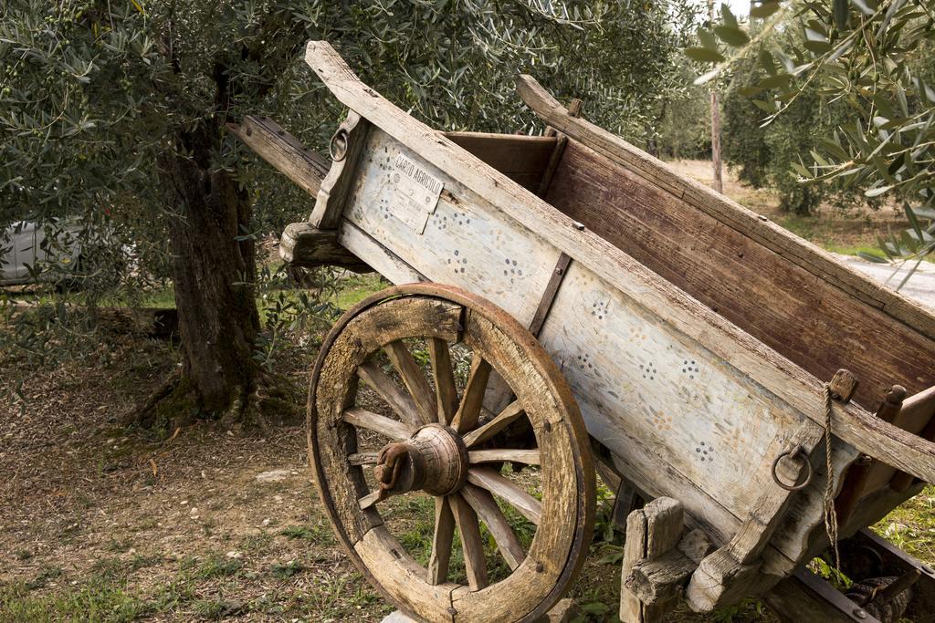 Agriturismo La Romagnana Pistoia Exteriér fotografie